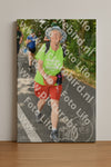 Evenement foto: Nijmeegse Vierdaagse 1049