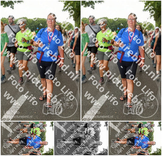 Evenement foto: Nijmeegse Vierdaagse 1048