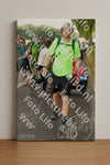 Evenement foto: Nijmeegse Vierdaagse 1048