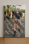 Evenement foto: Nijmeegse Vierdaagse 1048