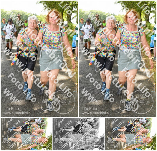 Evenement foto: Nijmeegse Vierdaagse 1048