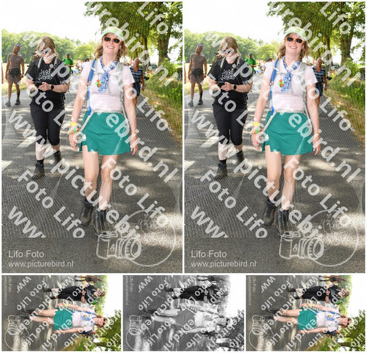 Evenement foto: Nijmeegse Vierdaagse 1048