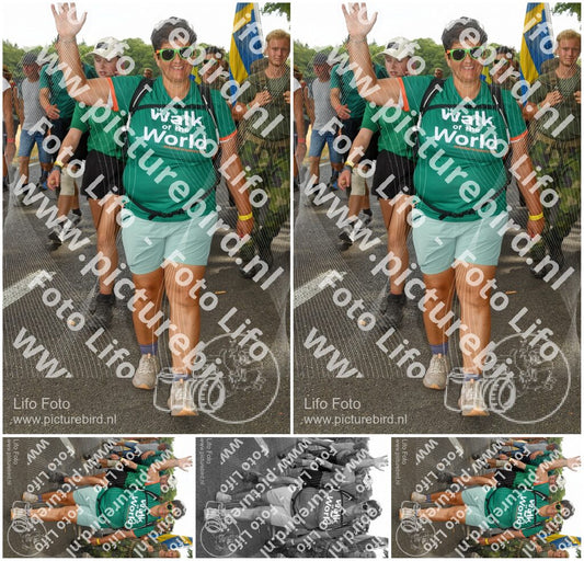 Evenement foto: Nijmeegse Vierdaagse 1047