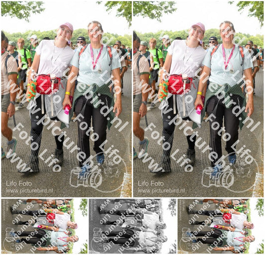 Evenement foto: Nijmeegse Vierdaagse 1047