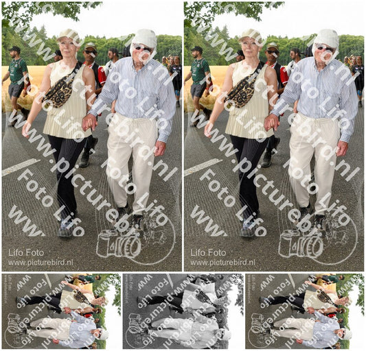 Evenement foto: Nijmeegse Vierdaagse 1047