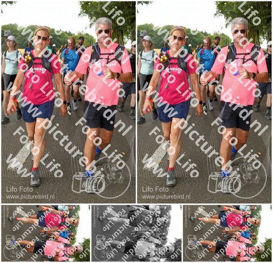 Evenement foto: Nijmeegse Vierdaagse 1047