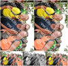 Evenement foto: Nijmeegse Vierdaagse 1046