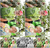 Evenement foto: Nijmeegse Vierdaagse 1046