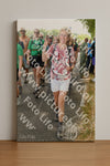 Evenement foto: Nijmeegse Vierdaagse 1046