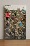 Evenement foto: Nijmeegse Vierdaagse 1046