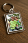 Evenement foto: Nijmeegse Vierdaagse 1046