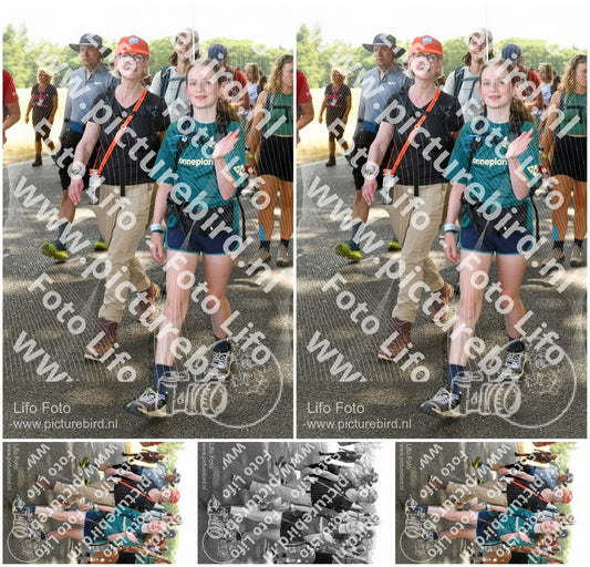 Evenement foto: Nijmeegse Vierdaagse 1046
