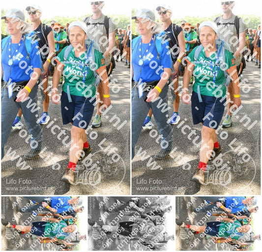 Evenement foto: Nijmeegse Vierdaagse 1046