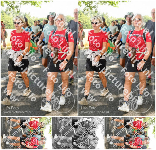 Evenement foto: Nijmeegse Vierdaagse 1046