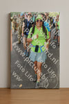 Evenement foto: Nijmeegse Vierdaagse 1046