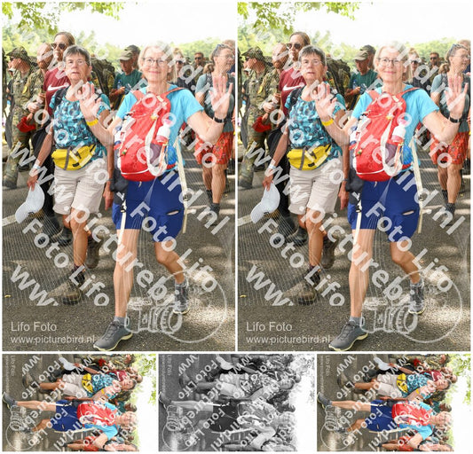 Evenement foto: Nijmeegse Vierdaagse 1045
