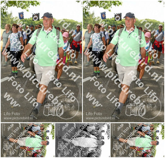 Evenement foto: Nijmeegse Vierdaagse 1045