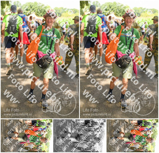 Evenement foto: Nijmeegse Vierdaagse 1045