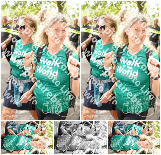 Evenement foto: Nijmeegse Vierdaagse 1045