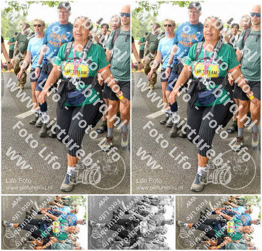 Evenement foto: Nijmeegse Vierdaagse 1045