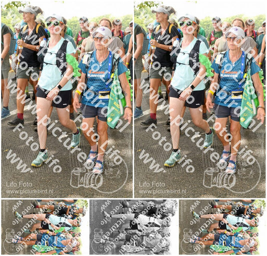 Evenement foto: Nijmeegse Vierdaagse 1045
