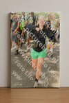 Evenement foto: Nijmeegse Vierdaagse 1045
