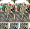 Evenement foto: Nijmeegse Vierdaagse 1044