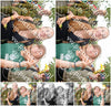Evenement foto: Nijmeegse Vierdaagse 1044