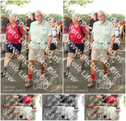 Evenement foto: Nijmeegse Vierdaagse 1044