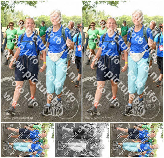Evenement foto: Nijmeegse Vierdaagse 1044