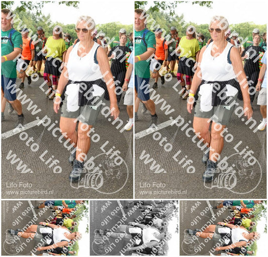 Evenement foto: Nijmeegse Vierdaagse 1044
