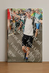 Evenement foto: Nijmeegse Vierdaagse 1044
