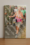 Evenement foto: Nijmeegse Vierdaagse 1044