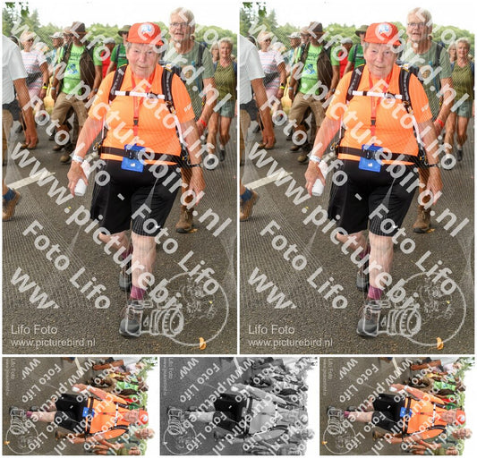 Evenement foto: Nijmeegse Vierdaagse 1044