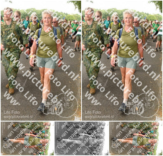 Evenement foto: Nijmeegse Vierdaagse 1044