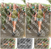 Evenement foto: Nijmeegse Vierdaagse 1044