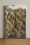 Evenement foto: Nijmeegse Vierdaagse 1044