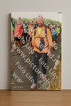 Evenement foto: Nijmeegse Vierdaagse 1044