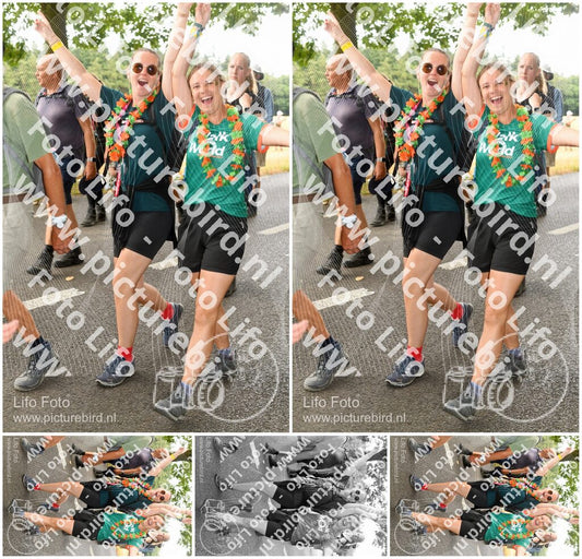 Evenement foto: Nijmeegse Vierdaagse 1043