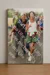 Evenement foto: Nijmeegse Vierdaagse 1043