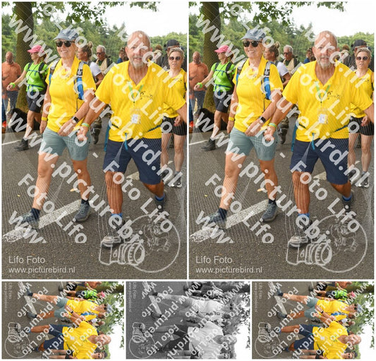 Evenement foto: Nijmeegse Vierdaagse 1043