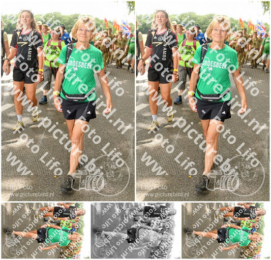Evenement foto: Nijmeegse Vierdaagse 1043