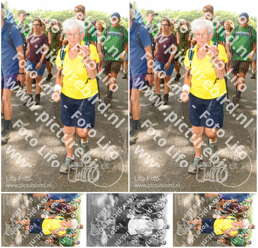 Evenement foto: Nijmeegse Vierdaagse 1043