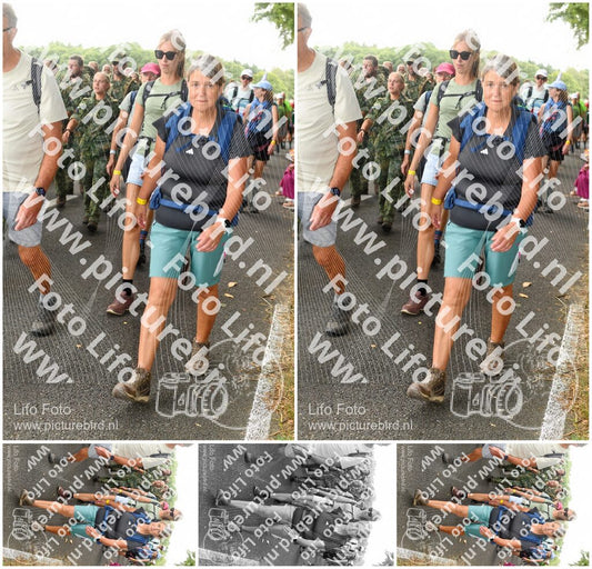 Evenement foto: Nijmeegse Vierdaagse 1042