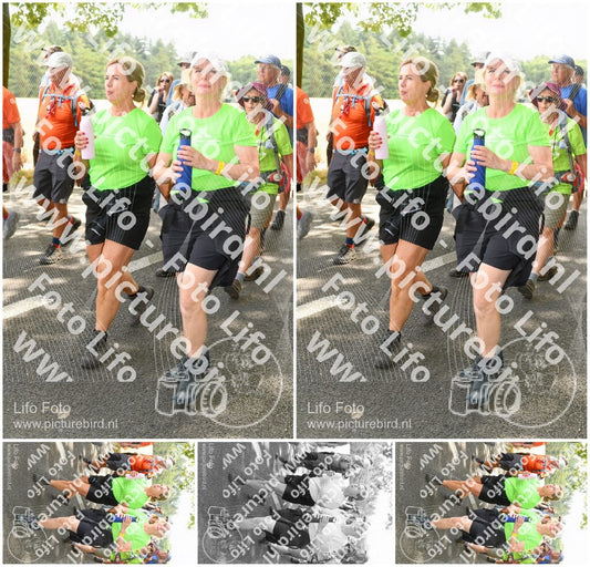 Evenement foto: Nijmeegse Vierdaagse 1042