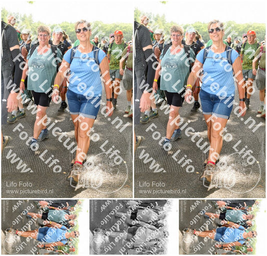 Evenement foto: Nijmeegse Vierdaagse 1042