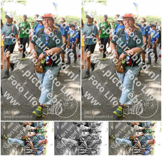 Evenement foto: Nijmeegse Vierdaagse 1042