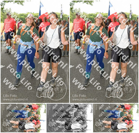 Evenement foto: Nijmeegse Vierdaagse 1042