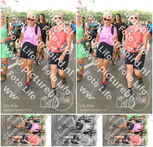 Evenement foto: Nijmeegse Vierdaagse 1042