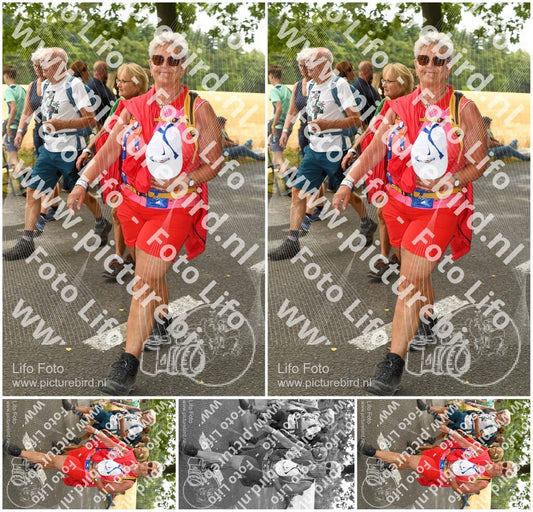 Evenement foto: Nijmeegse Vierdaagse 1041